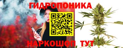 индика Изобильный