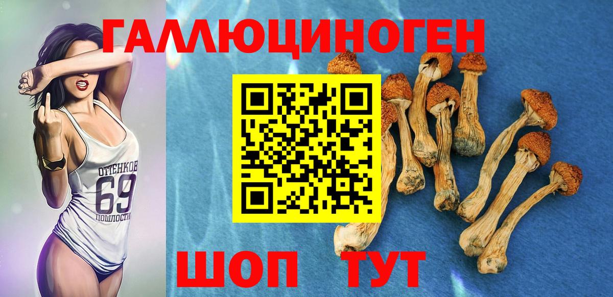 Псилоцибиновые грибы мухоморы Кунгур